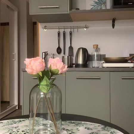 Apartment Near Ozas VNO Eksteriør billede